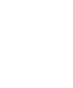 Polyirbis Studio